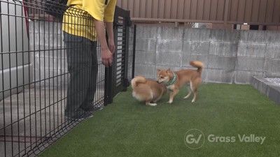 喜びが止まらない…!