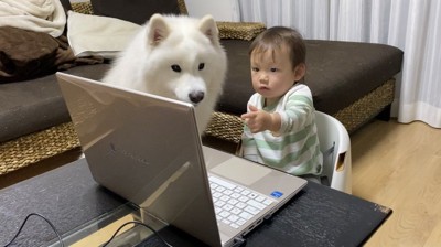 会議