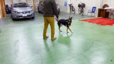 華麗に避けます!