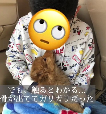 痩せ細っていた