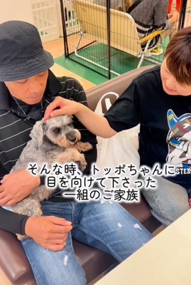 夫婦の膝の上に座る犬