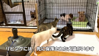 みんな興味津々！