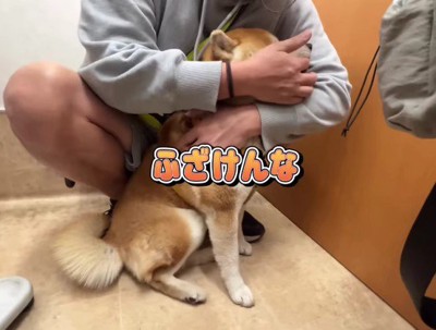 「ふざけんな！」