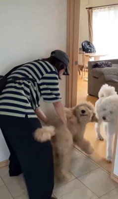 ますお君&まるお君とママさんの再会⑩