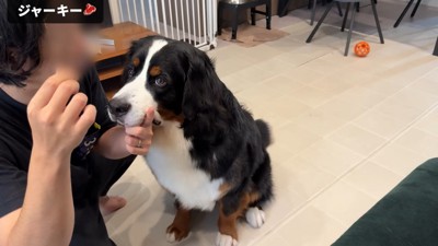 お目目がキラキラ