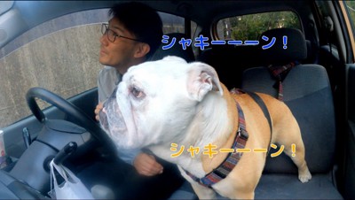 家の方を見る犬と飼い主