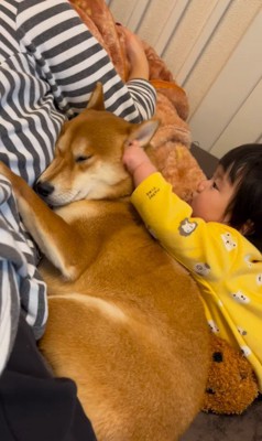 ポテくんを起こしたい赤ちゃん