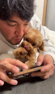 スマホを見るのを邪魔する小型犬