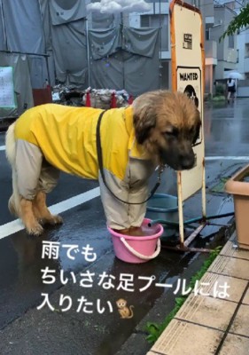 「あ~冷たい♪」