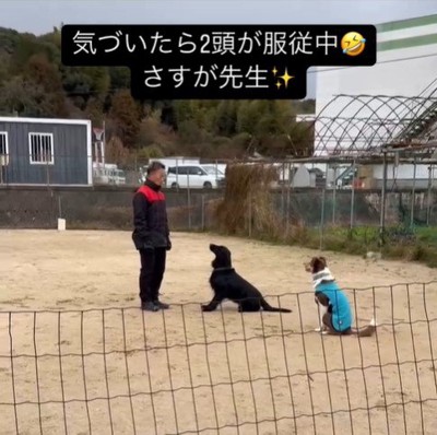 訓練中に乱入するポリくん4