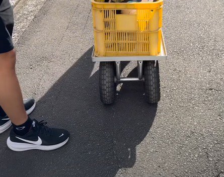 おじいちゃんおばあちゃんの家へ