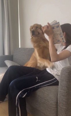 顔を抑えられる犬2