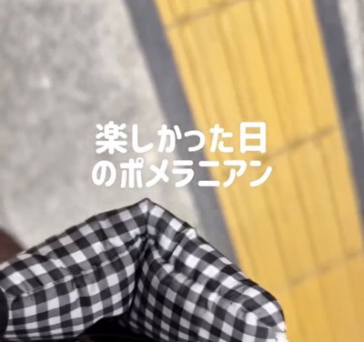 肩に掛けられたチェック柄のバッグ