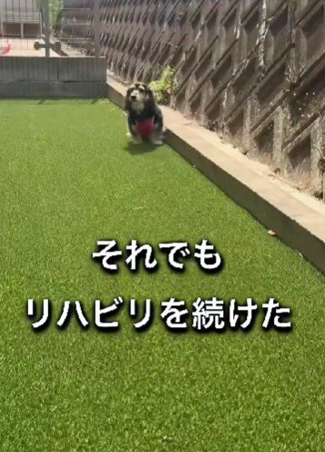 リハビリを開始