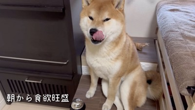 「おやつほしいです」