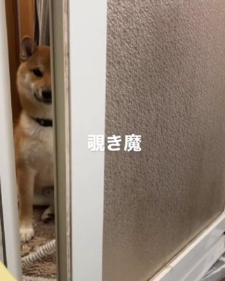 まるで石像のよう