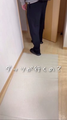 リビングを出ていったまま戻らないサモエド