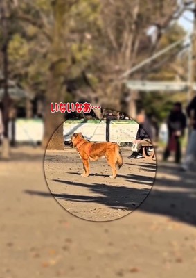 ママを探すラッキーくん