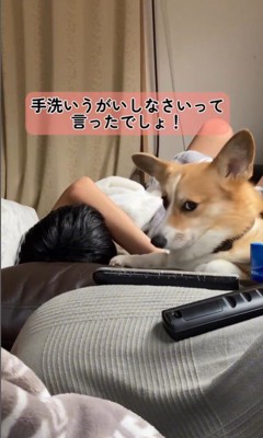 体調不良の男の子に付き添うチリちゃん4