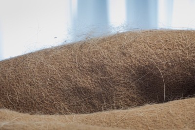 抜け毛がついた洗濯前のベッド