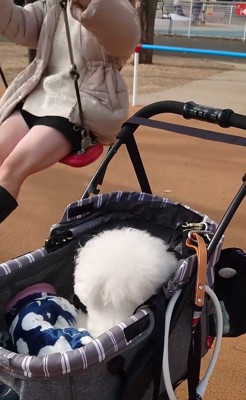 ミルクくんのナイスリアクション7