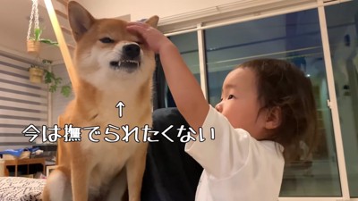 「今は嫌だよ」