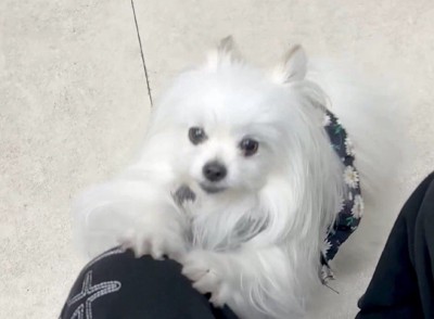 必死の形相に！！