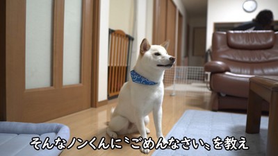 イタズラして怒られてしまいました