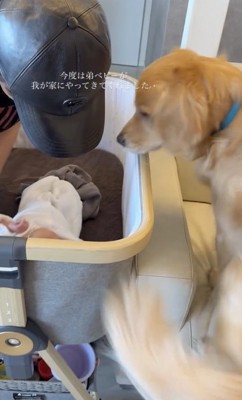 はじめまして〜