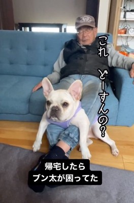 戸惑うブン太くん