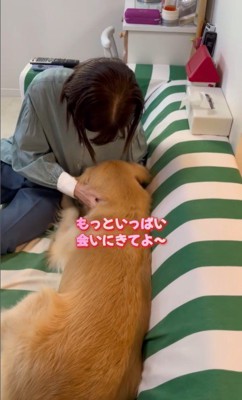 モコちゃんとお姉さんの再会8