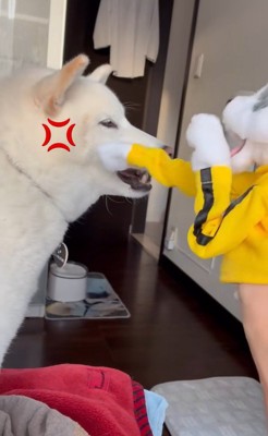 パンチするおもちゃVSだい吉くん3