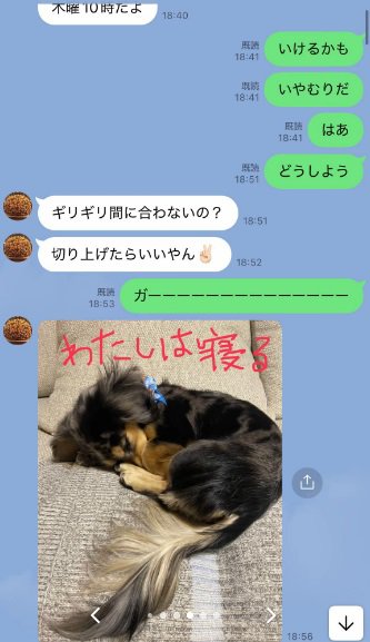 眠るどびぃちゃん