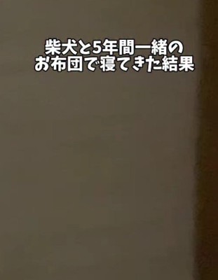 寝室に行くと…