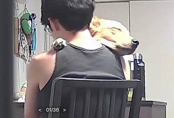 カメラを確認してみると…