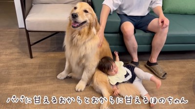 パパに甘えるおからちゃんに甘えるほのちゃん♪