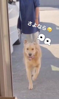 行ったり来たり