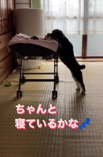 特別なお客さんが来た