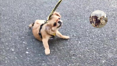 見事な作戦でした！！