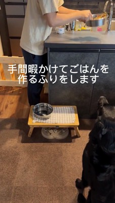 器に入ったご飯を振る飼い主
