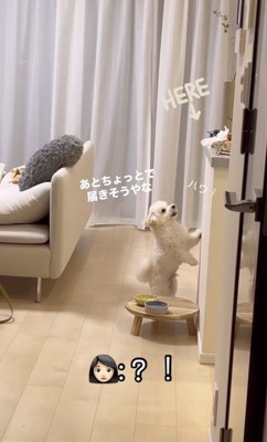 ウェットティッシュだ!