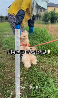 お隣のおばちゃんを発見したちゃちゃ君2