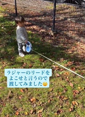 リードを持つ男の子