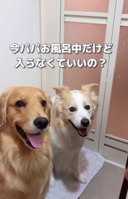 パパが入っていても…