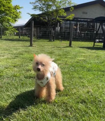 これからも元気でね！！