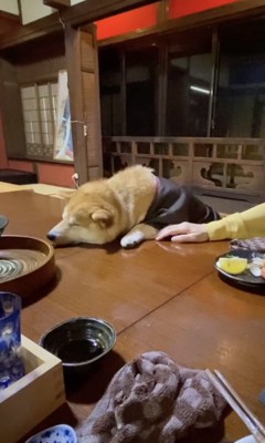 ちゃぶ台に突っ伏して