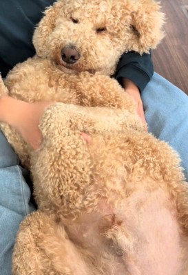 甘えん坊で可愛い♡