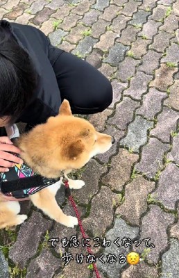 立ち止まってしまうことも…