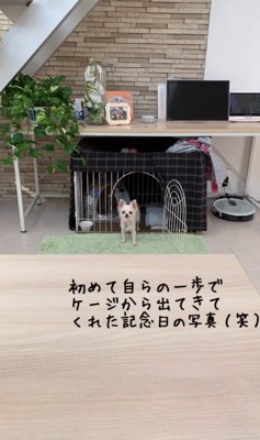 一歩を踏み出したけど…