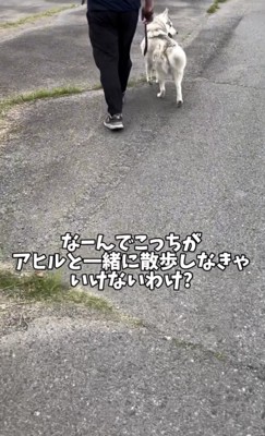 いちみちゃんは軽快な足取り